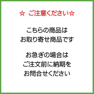 タニザワ ヘルメット ST#141-JZ エアライト