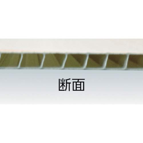 アイリスオーヤマ ポリカプラダン 910mm×1820mm 厚4mm クリア