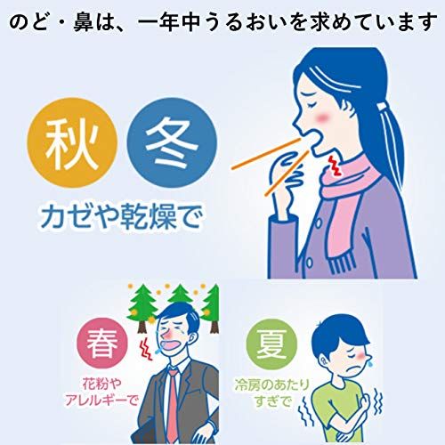 パナソニック スチーム吸入器 EW-KA65