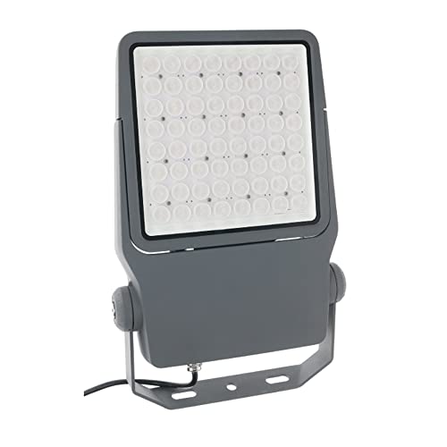 ジェフコム 充電式LED投照器 蓄電池内蔵 PDS-CS01-100FL