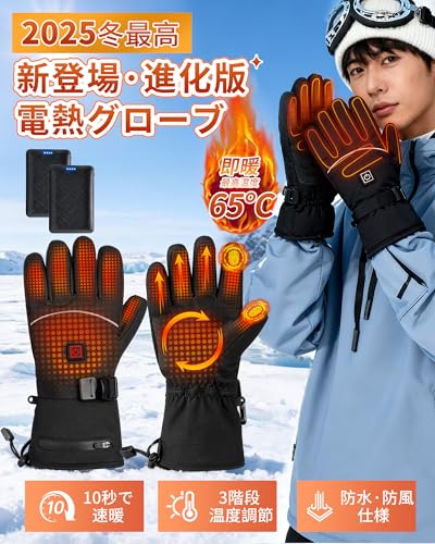 電熱グローブ【2025年冬新登場・10秒即暖】65℃発熱 3段階温度調節 PSE認証済