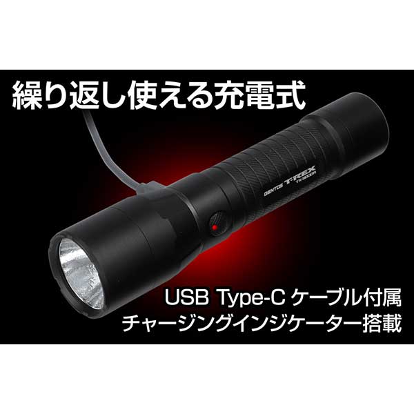 GENTOS TX-3000R サブ画像2