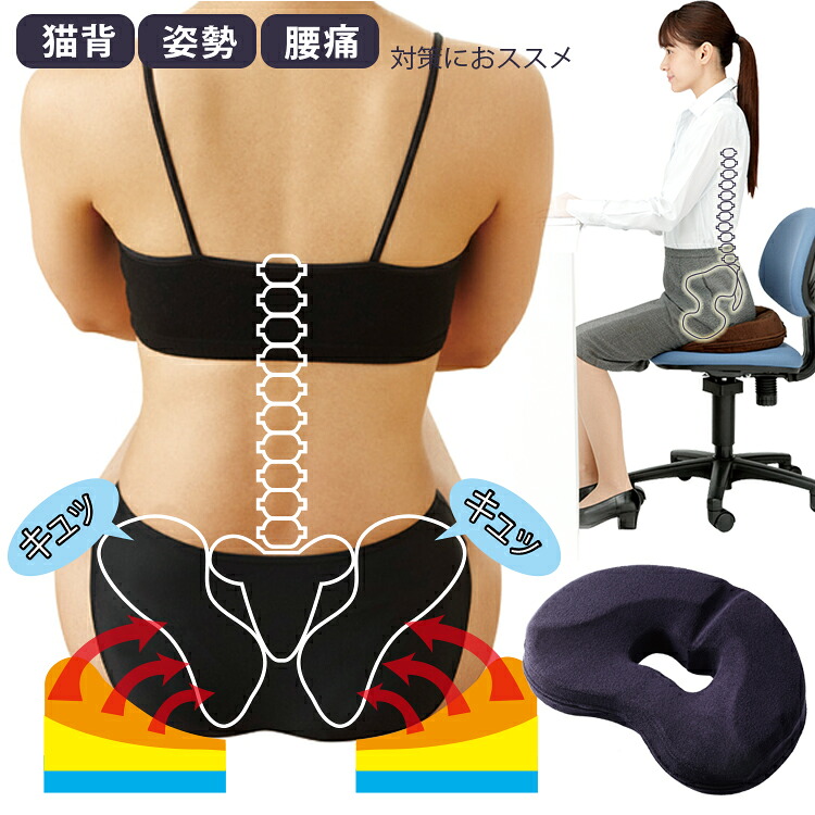 meidai(メイダイ) 勝野式 座るだけで骨盤キュッとクッション
