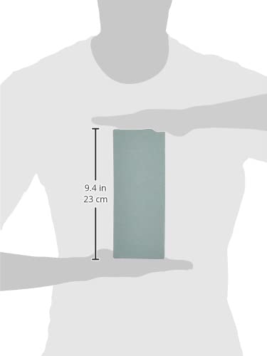 遠藤商事(TKG) 業務用砥石 特大型(#220) 荒砥 炭化ケイ素 ATIB501 Amazon サブ画像2