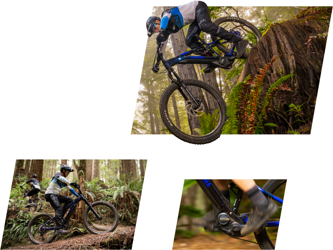 YAMAHA YPJ-MT Pro